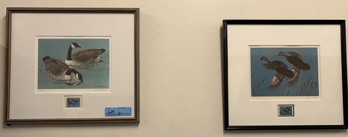 5 VARIOUIS DELAWARE STATE DUCK STAMPS