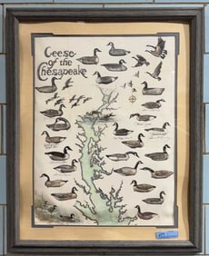 VALERIE LLYOD "GEESE OF THE CHESAPEAKE" DRAWING