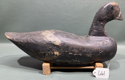 NORTH CAROLINA COOT DECOY