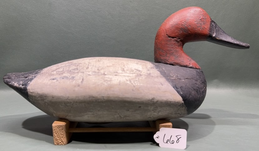 JIM HOLLY CANVASBACK DECOY IN OLD WORKING REPAINT: ~ 15-1/2" X 7-1/2"