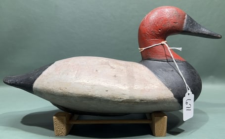 REHEADED & REPAINTED CECIL COUNTY CANVASBACK