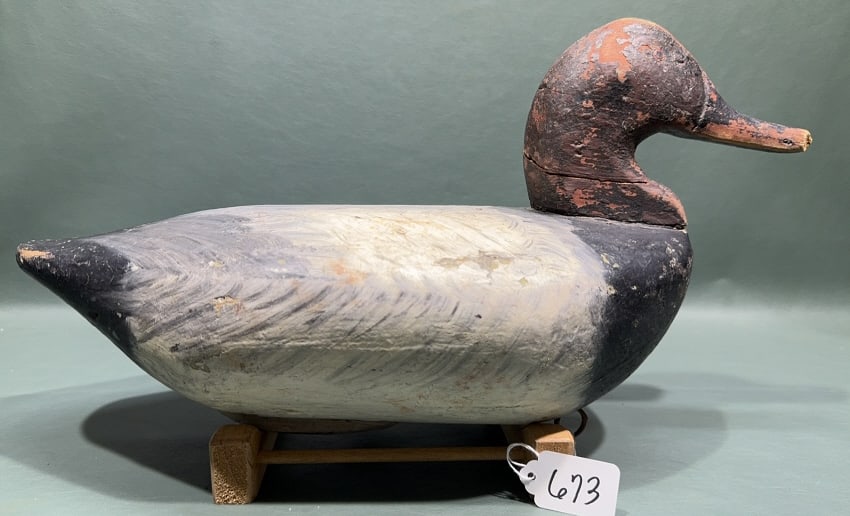 SAM BARNS REHEADED CANVASBACK BRANDED "O": ~ 16" X 8"