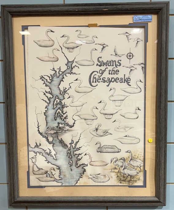 VALERIE LLYOD "SWANS OF THE CHESAPEAKE" DRAWING: HAND COLORED DRAWING ~ 38" X 30-1/2"