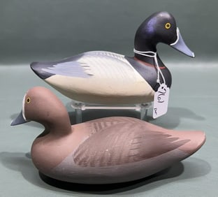 PR OF CHARLES JOBES HALF SIZE RINGNECKS