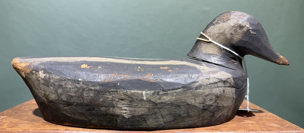 ANTIQUE NEW ENGLAND GOLDENEYE: ~ 13" X 5-1/2"
