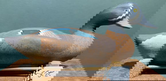 MADISON MITCHELL BLUE-WINGED TEAL