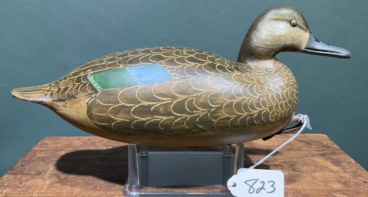 RONALD JUSTICE BLUE-WINGED TEAL HEN
