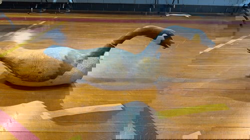 OVER SIZE NEW JERSEY CANADA GOOSE