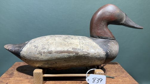 JIM HOLLY CANVASBACK DRAKE