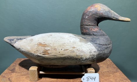 UPPER BAY CANVASBACK DECOY