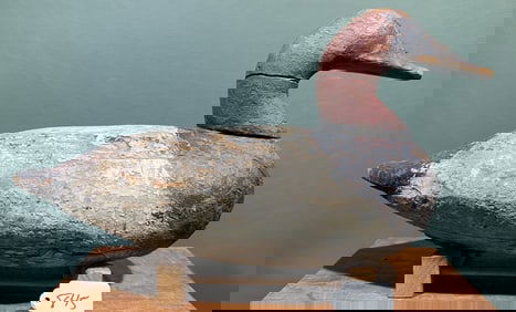 JOHN COCKEY CANVASBACK DECOY