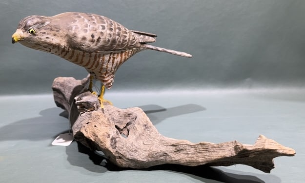 PETER PELTZ WOODEN CARVED HAWK: ~ 18" X 8"