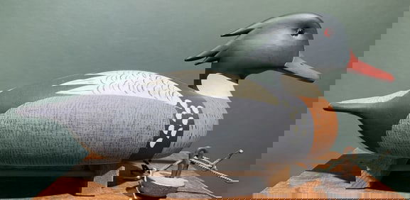 LOUIE HANCOCK MERGANSER CHINCOTEAGUE, VA.