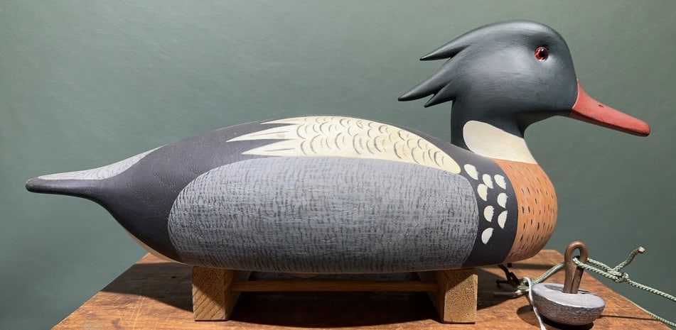 LOUIE HANCOCK MERGANSER CHINCOTEAGUE, VA.: ~ 16"