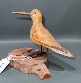 GARY DAISY SHORE BIRD ON BASE, CHINCOTEAGUE VA.