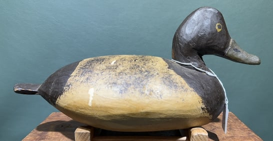 CHINCOTEAGUE STYLE CANVASBACK HEN