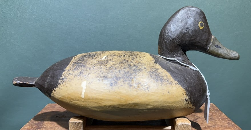 CHINCOTEAGUE STYLE CANVASBACK HEN: ~ 14" LONG