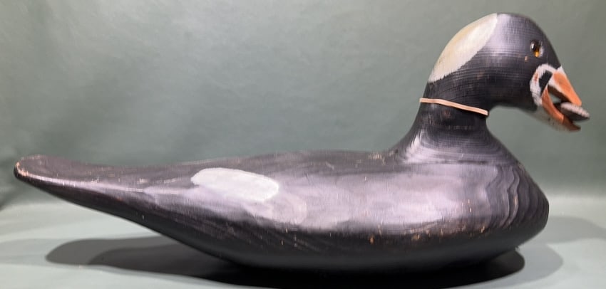 RICK FISH SURF SCOTER DECOY W/ MUSSEL: ~ 21" X 9-1/2"