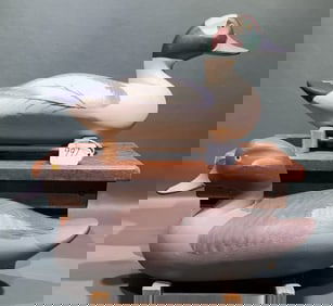 PAIR OF MADISON MITCHELL BUFFLEHEADS 1973