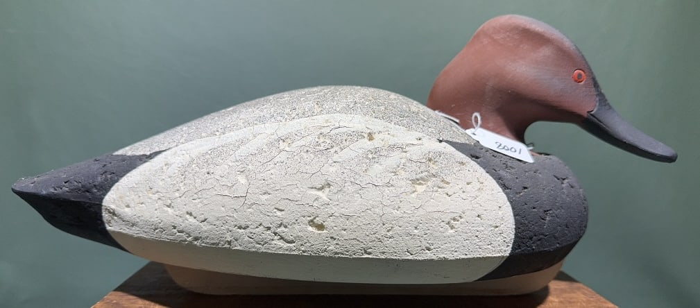 OVER SIZE CORK CANVASBACK DECOY: ~ 18" X 8-1/2"