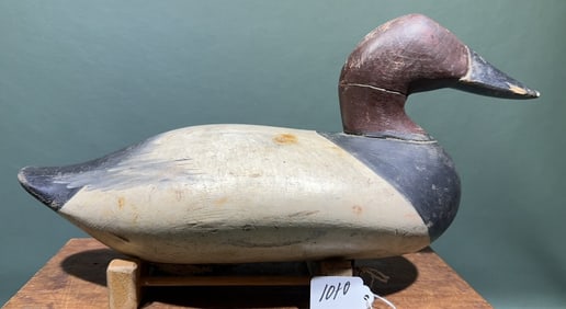 MADISON MITCHELL CANVASBACK W/ WRJ BRAND 1954