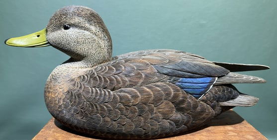 AL BURK DECORATIVE BLACK DUCK