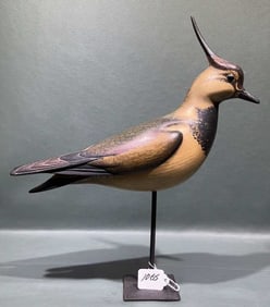BILL GIBIAN "EUROPEAN LAPWING" ONANCOCK VA