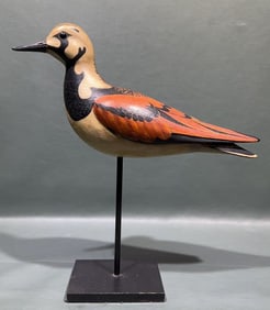 BILL GIBIAN "RUDDY TURNSTONE" ONANCOCK VA