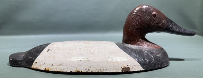 CAST IRON CANVASBACK SINK BOX DECOY