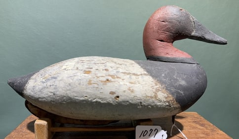 HOLLY CANVASBACK BRANDED "B STRONG"