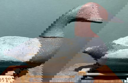 ANT. CANVASBACK BRANDED "VANDIVER"