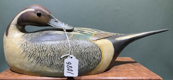 REGGIE BIRCH PREENING PINTAIL