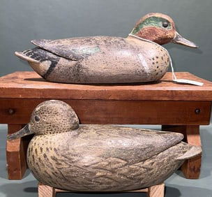 PR GREEN WING TEAL BRANDED "WSB"