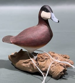 ALLAN SCHAUBER MINI RUDDY DUCK ON WOOD