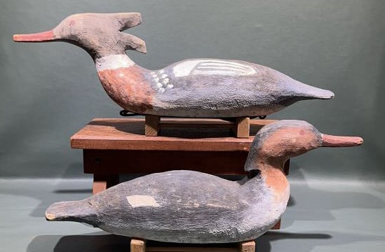 PAIR OF "CIGAR" DAISEY MERGANSER DECOYS: 20" LONG