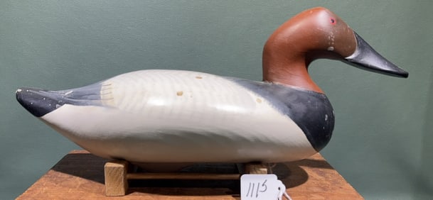 MADISON MITCHELL CANVASBACK DRAKE