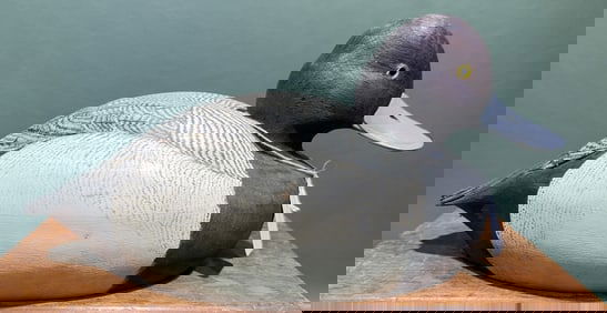 BILL HICKSON DECORATIVE BLUEBILL