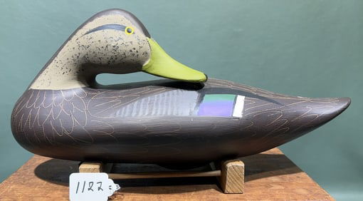 BOB JOBES PREENING BLACK DUCK