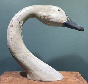 SWAN HEAD