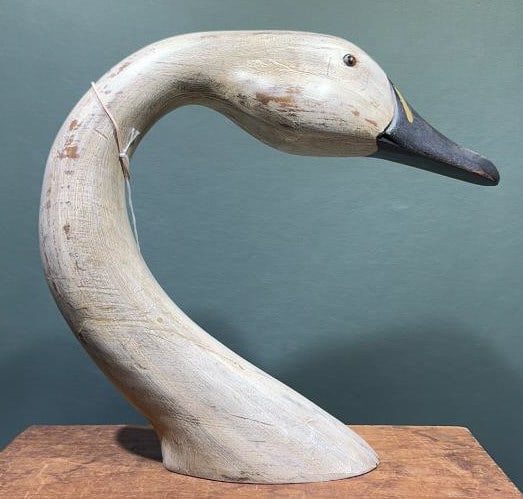 SWAN HEAD: 12" X 11 1/2"