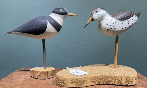 2 VARIOUS SHOREBIRDS