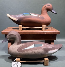 PAIR JIM PIERCE BLUE WING TEAL