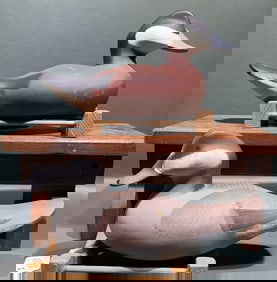 PAIR DAN CARSON WORKING RUDDY DUCKS