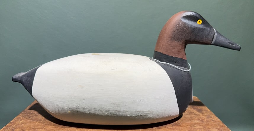HE LETTS CANVASBACK DRAKE ~ NORTHEAST MD: 15" LONG