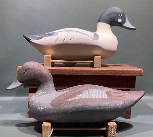 PAIR JIM PIERCE GOLDENEYES: 14" LONG