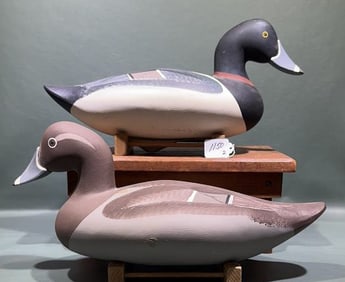 PAIR JIM PIERCE OVERSIZED RINGNECKS