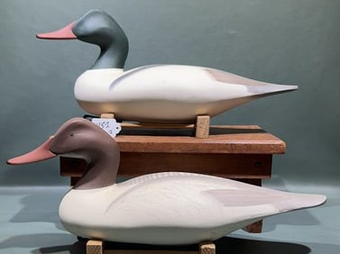 PAIR DAN CARSON MERGANSERS