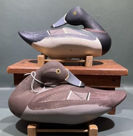 PR JIM PIERCE OVERSIZED SLEEPING RINGNECKS