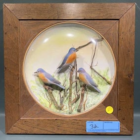 A. PELTIER CRAVED SONG BIRD DIORAMA