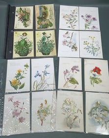 ST. PATRICK'S DAY, BUTTERFLIES, & FLOWERS